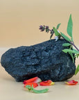Black Tourmaline Cluster One-of-a-Kind
