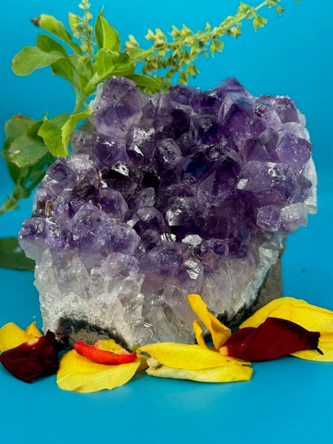 Amethyst Cluster 