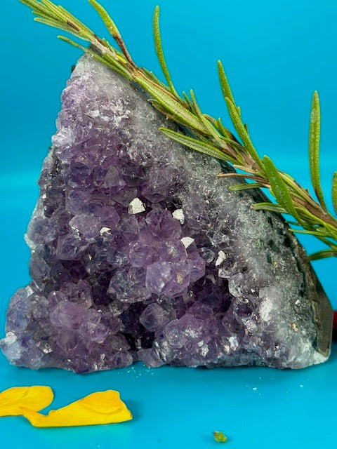 Amethyst Cluster 