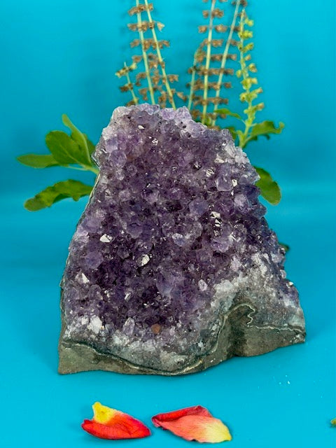 Amethyst Cluster 