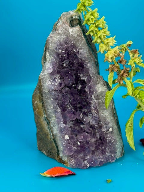 Amethyst Cluster 