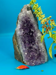 Amethyst Cluster #7 One-of-a-Kind