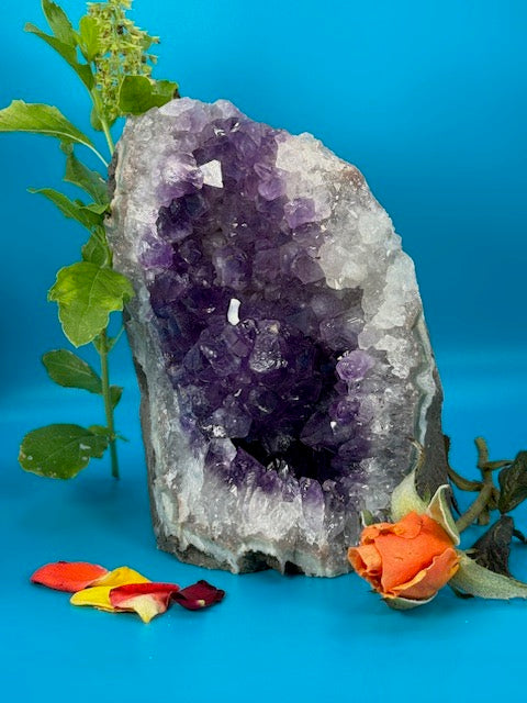 Amethyst Cluster 