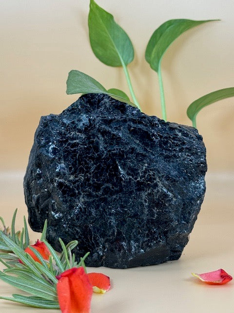 Black Tourmaline Cluster One-of-a-Kind 