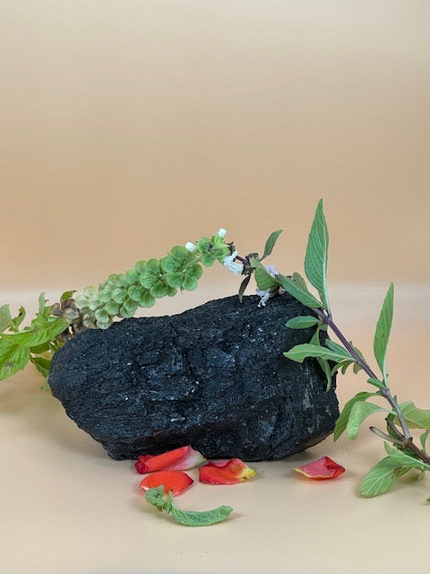 Black Tourmaline Cluster One-of-a-Kind 