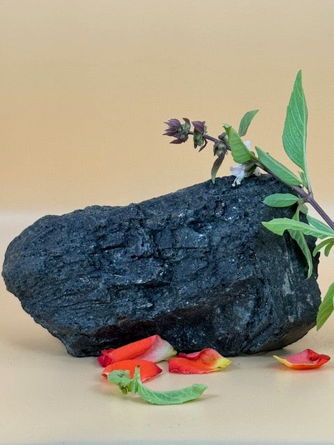 Black Tourmaline Cluster One-of-a-Kind 