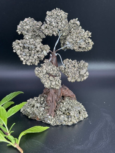 Pyrite Tree