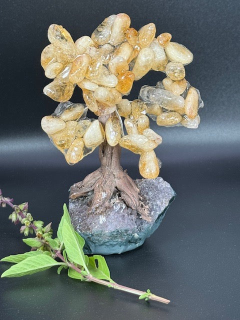 Small Citrine Tree