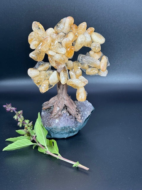 Small Citrine Tree