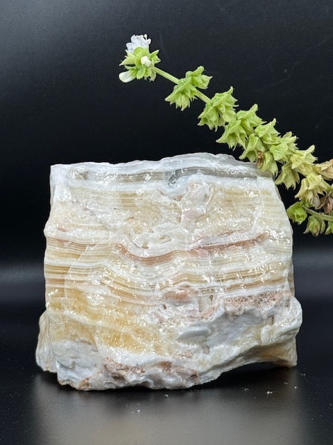 Zebra Calcite Cluster One-of-a-Kind 