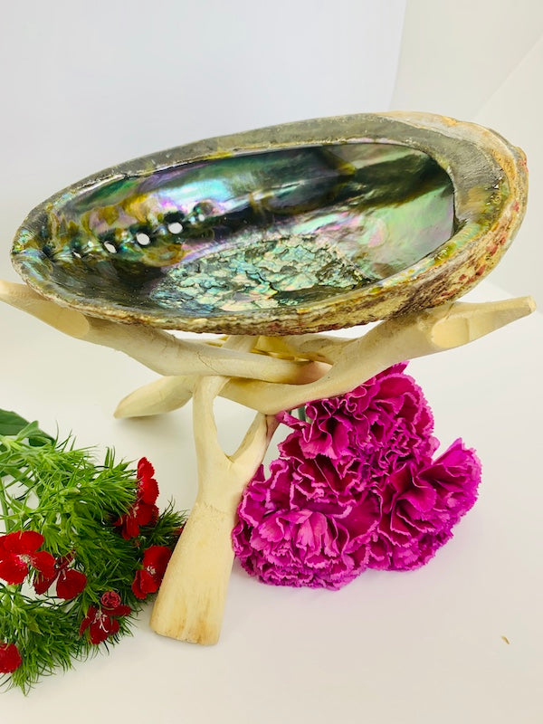 Large White Sage Kit