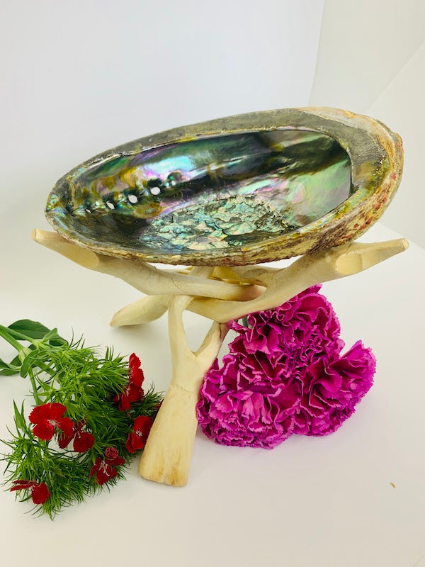 Large White Sage Kit